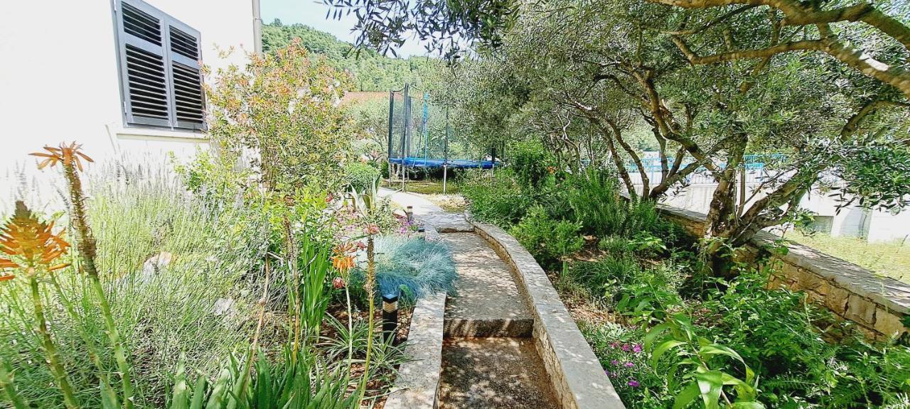 Apartments Darija & Pero Pucisca Εξωτερικό φωτογραφία