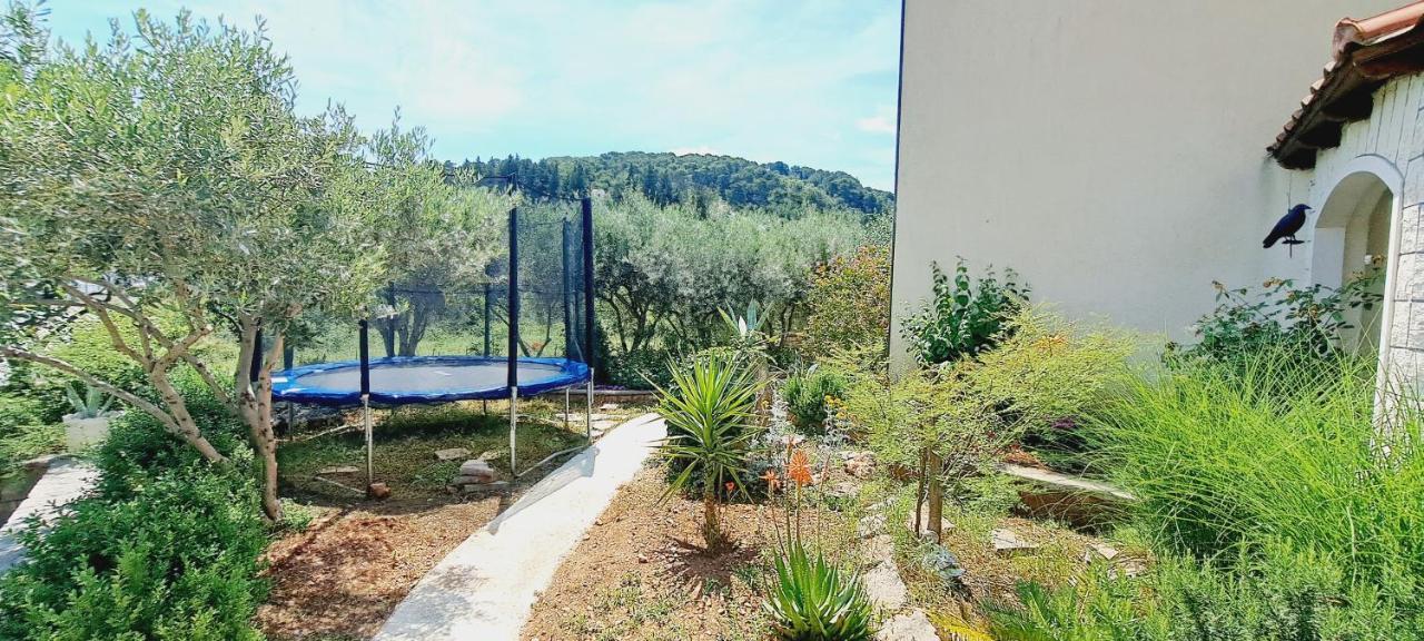 Apartments Darija & Pero Pucisca Εξωτερικό φωτογραφία