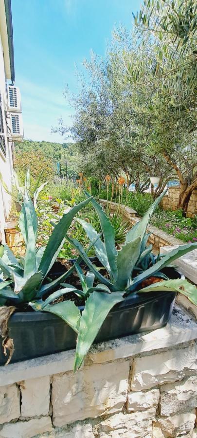Apartments Darija & Pero Pucisca Εξωτερικό φωτογραφία